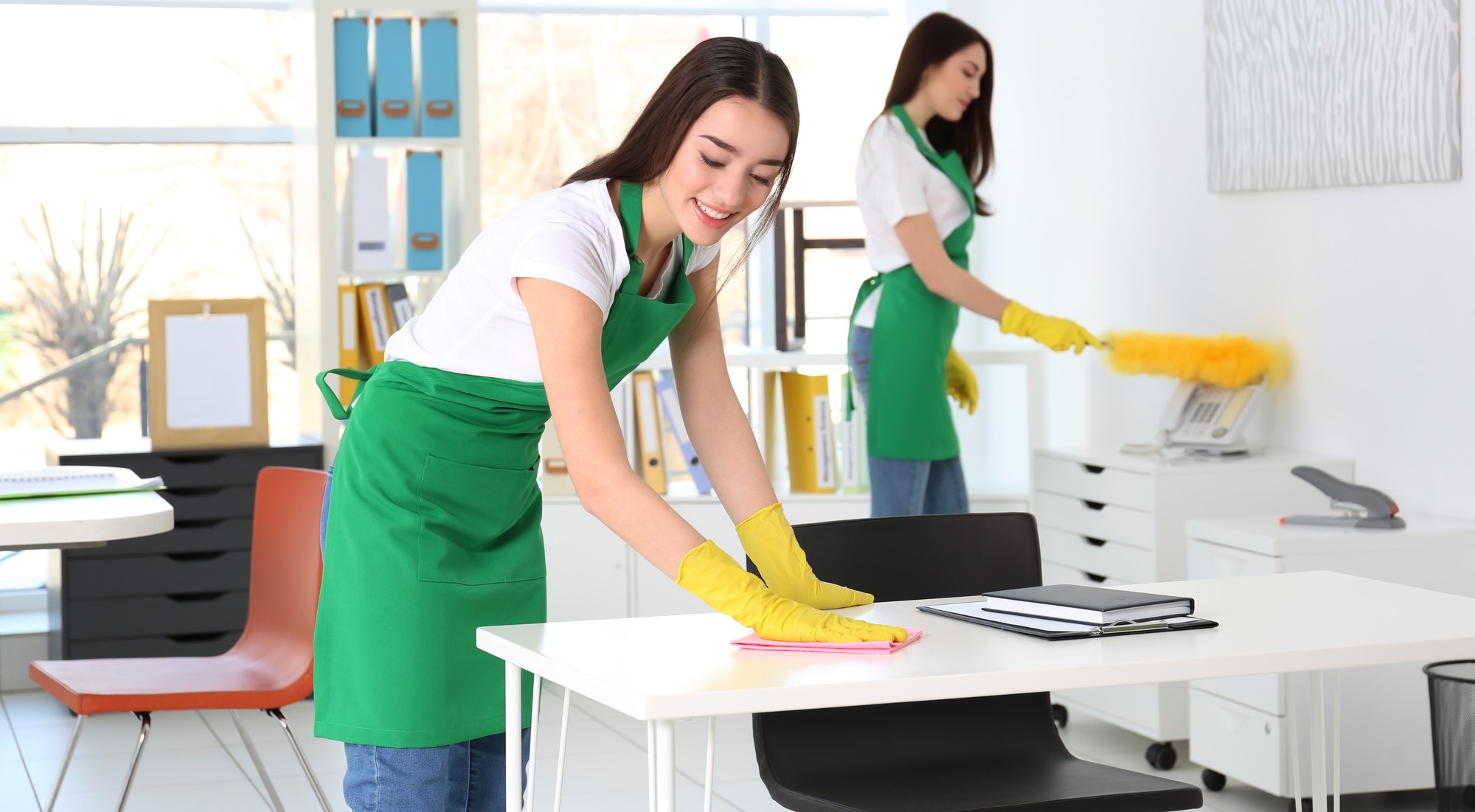 Cleaning Service in Bellevue