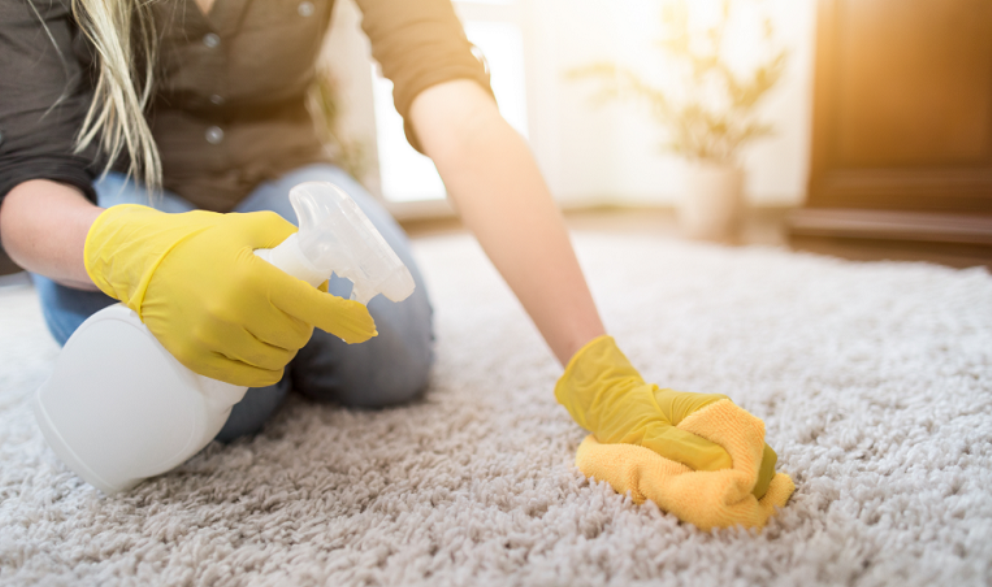 DIY Carpet Cleaning